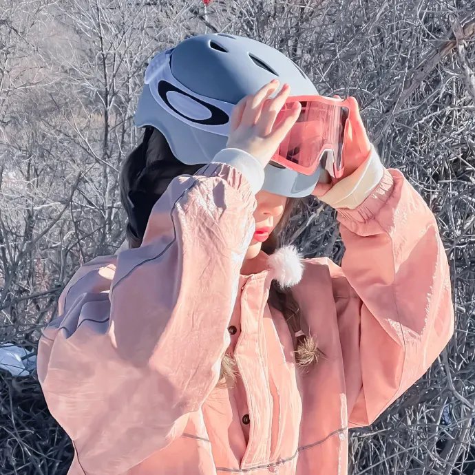 剧场版 银河机攻队：觉醒的基因